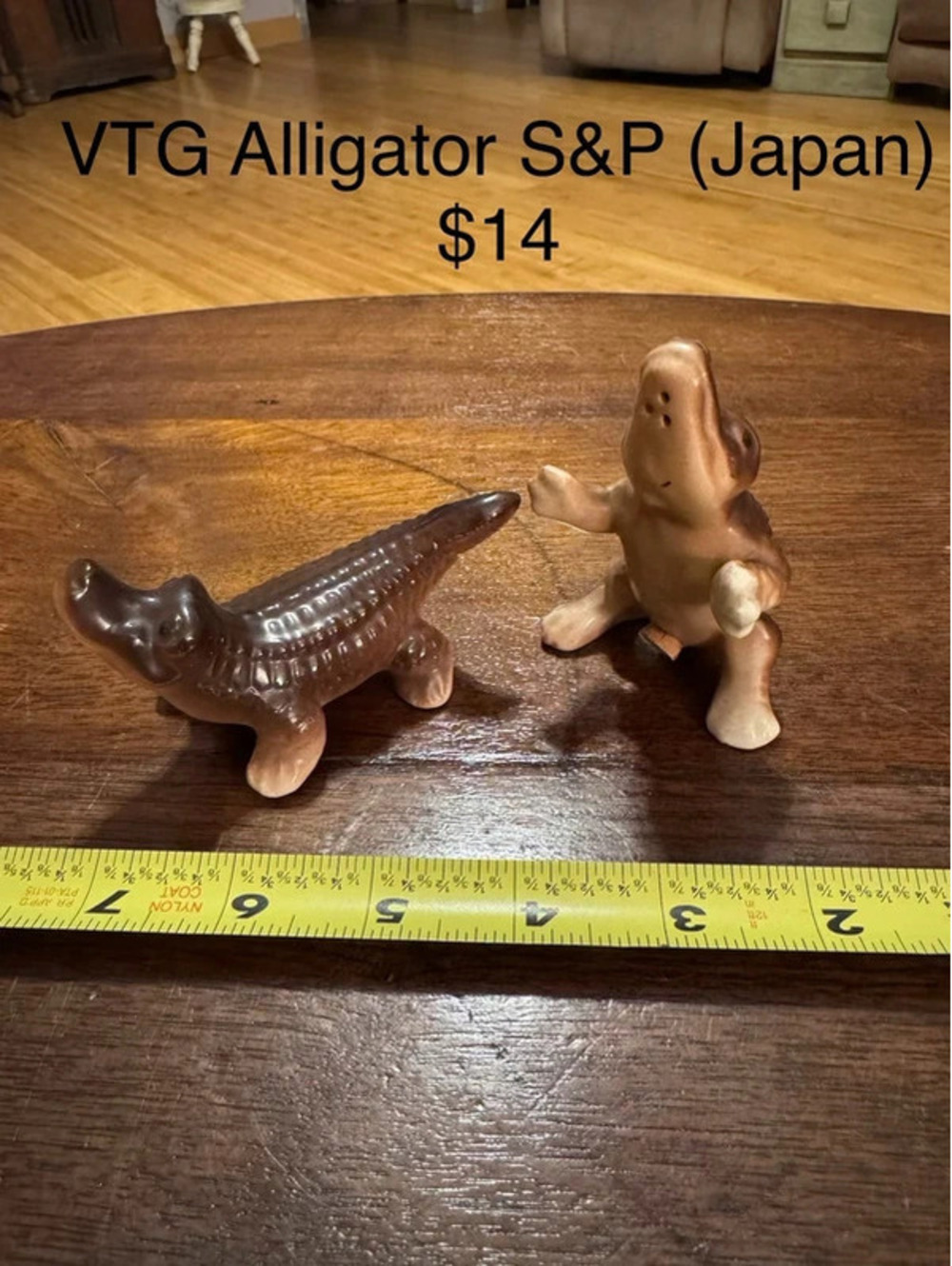 Alligator S&P